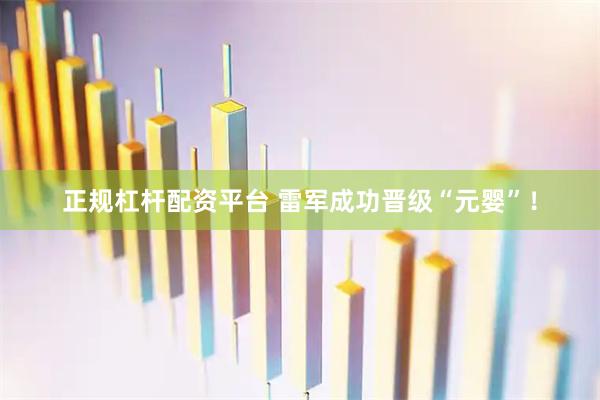 正规杠杆配资平台 雷军成功晋级“元婴”！