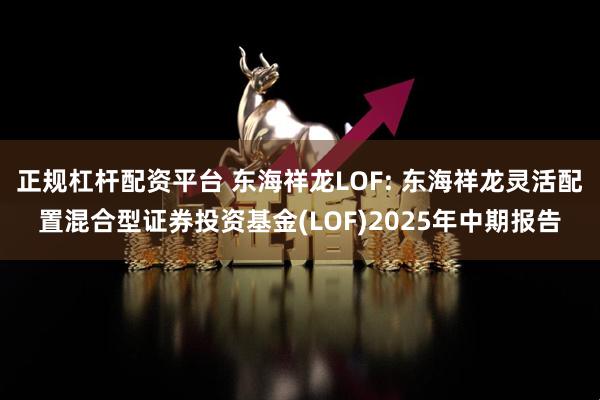 正规杠杆配资平台 东海祥龙LOF: 东海祥龙灵活配置混合型证券投资基金(LOF)2025年中期报告