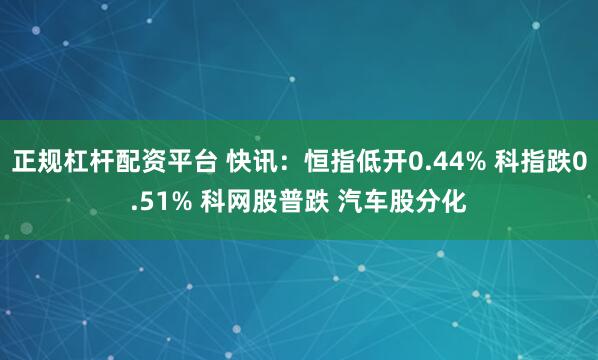 正规杠杆配资平台 快讯：恒指低开0.44% 科指跌0.51% 科网股普跌 汽车股分化