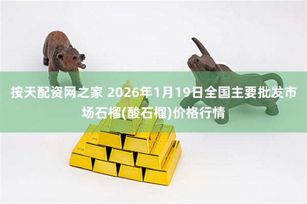 按天配资网之家 2026年1月19日全国主要批发市场石榴(酸石榴)价格行情